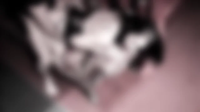 Manilatrasxxx image 0