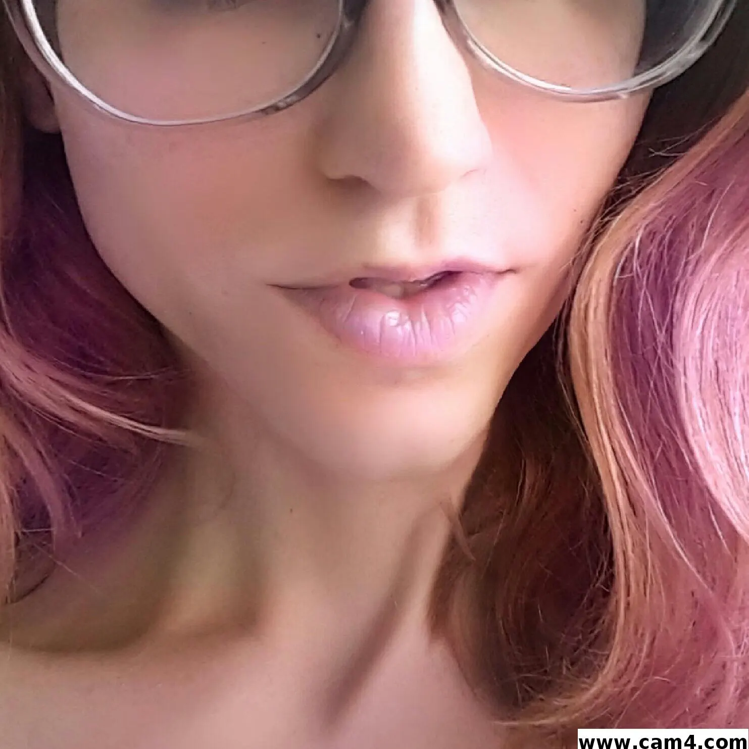 FaeFoxGlove image 0